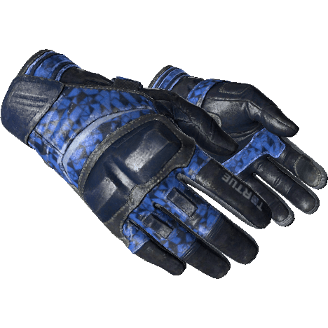 ★ Moto Gloves | Polygon (Field-Tested)