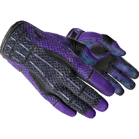 ★ Sport Gloves | Pandora's Box (Field-Tested)