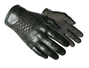 ★ Driver Gloves | Racing Green (Well-Worn)